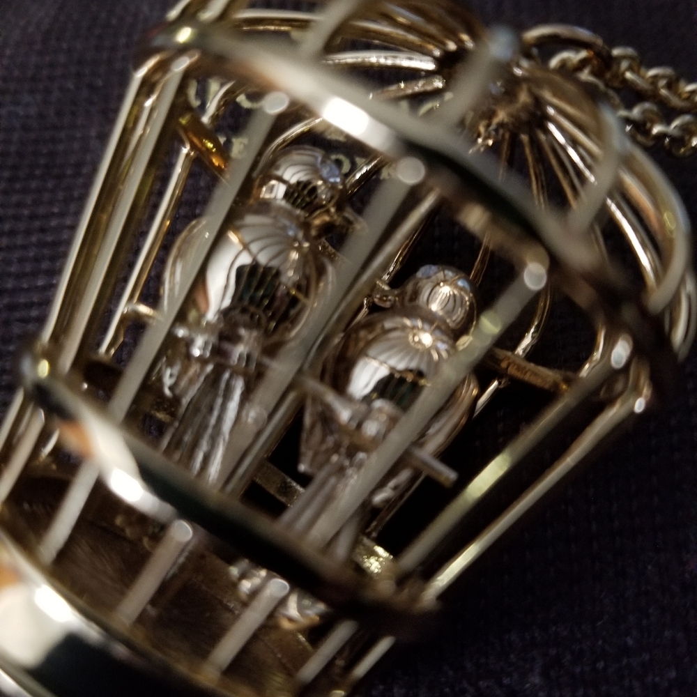 Kate Spade Gold Birdcage Necklace Will Add Additional Pictures. - Picture 4 of 4